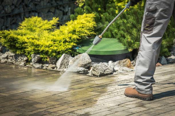 Best Roof Washing  in Dayton, KY