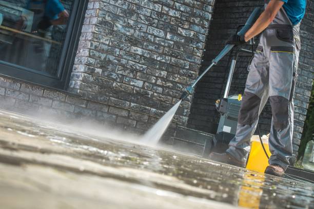 Best Driveway Pressure Washing  in Dayton, KY