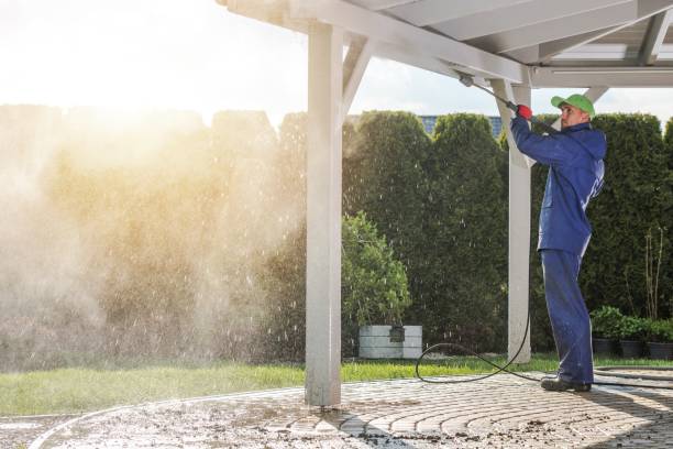 Best Animal Enclosure Cleaning  in Dayton, KY